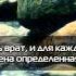 Эмоциональное чтение Корана
