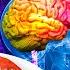 Top 10 Foods That DESTROY Your BRAIN