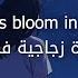 أغنية أجنبية هادئة وجميلة مترجمة LuvMuse Lost In Your Memory