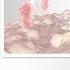 Cancer Immunotherapy The PD L1 Pathway