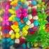 New Comers Kaira Kairapunitha Colorfish Orange Cucumber Jamun Funny Comedy Shorts
