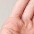 Human Sound Hearing Test HD 20 To 20000 Hz