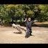 My Style Isn T For Practical Combat It S Action Fantasy Martialarts Nunchuck