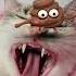 Caca Cat Shorts Short Viral Tiktok Cute Catlover Funny Caca Cats Catvideos Cutecat