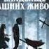 Аудиокнига Кладбище домашних животных Стивен Кинг