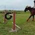 Хочешь тебя покатаю Покажу Токио дрифт популярное лайк лошади Horse Shorts Jumps прыжки