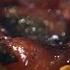 How To Make A Tart Tatin With Adam Byatt