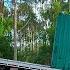 FIRST Steps To Creating Our Offgrid Forest Escape