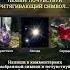 таро таросила Music гороскоп знакитаро Tarot таромастер гадание тарологонлайнбесплатно