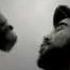 Patrick Watson Drifters Official Video
