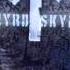 Lynyrd Skynyrd That S How I Like It Wmv