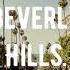 Zivert Beverly Hills Remix Remixsong Zivert Tiktok Remix зиверт Shortsvideo