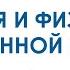 Эндокринная система кратко основные железы и гормоны физиология и анатомия