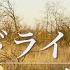 優里 ドライフラワー を本気で歌ってみた