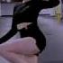 AOA Like A Cat DANCE COVER