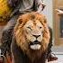 Beggar Buys Gold For Wife Gets Beaten By Guards They All End Up Losing Their Jobs CineDrama