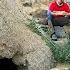 I Turned A Large Rock Into A Safe And Comfortable Shelter For Survival Safe Hideout Bushcraft