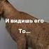 Услышали Азан Убейгайте