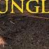 The PG Rated Deaths In THE JUNGLE BOOK 1994 Version