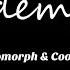 Besomorph Coopex Redemption Ft Riell Lyric Video