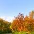 Осенние мотивы музыка для души