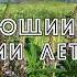 173 Невероятно Красива Мелодия Эдгара Туниянца и Чарующий Взор Цветущий Луг