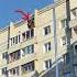 Шпиониро Shpioniro Spy голубь шпионы