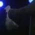 Zach Galifianakis Nathaniel Buckner Comedians Of Comedey