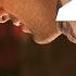 Agar Tum Saath Ho FULL AUDIO Song Tamasha Ranbir Kapoor Deepika Padukone T Series
