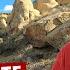 I Entered The Most Remote Native American Tribe Hopi Invite Only