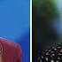 Pam Bondi Faced Ellen S Insults And Made Her Regret It Live