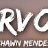 Shawn Mendes Nervous Lyrics