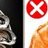 Over 60 4 WORST Seafoods You Should NEVER Touch And 4 You MUST Eat Senior Health Tips