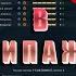 ЧТО КАЧАТЬ В WAR THUNDER ЭКИПАЖ