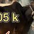 Palosi Mandi Peshawar Eid Ul Adha Ke Leya Chotaa Mall Today Update 23 5 2025 Haseebkhan Vlogs