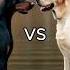 Rottweiler Puppy Vs Pitbull Puppy German Shepherd Husky Doberman Labrador Retriever Pointer
