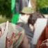 Christian Woman S Baseless Belief Is Shattered To Pieces Hashim Speakers Corner