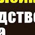 Джон Лэйк Господство Христа