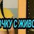 Злая мать привела девочку с БОЛЬШИМ ЖИВОТОМ к гинекологу Врач онемел поняв что случилось