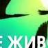 В МИРЕ ЖИВОТНЫХ ПОЛУРАК