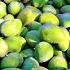 Sweet Cargo From Tando Allahyar Karachi Get Ready