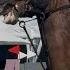 Spur Bit Misuse In 500 000 FEI Show Jumping Competition