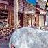 Thrilling Route 66 Adventure Wild Burros Haunted Hotel In Oatman
