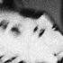 FREE OsamaSon X Nettspend Type Beat BOA Prod APitslit