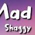 Shaggy Mad Mad World Lyrics