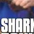 Toybox 3D Printer As Seen On SHARK TANK