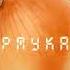 Фонк для чистки лука Pmyka 2022