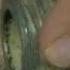 Plumber S Hemp And Paste