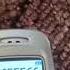 Samsung SGH C200 The Sound Of The Army