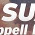 Chappell Roan Casual Lyrics